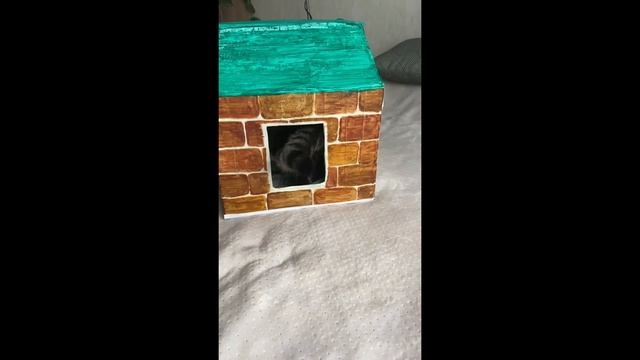 Домик для кошки из коробки. Когтеточка с Wildberries смотреть онлайн