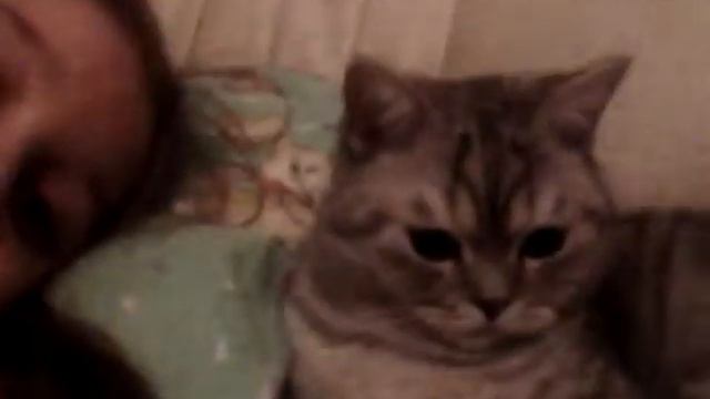 30 марта 2017 г. смотреть онлайн