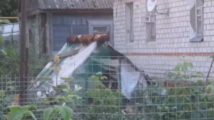 У СОСЕДЕЙ ЧУПАКАБРА!)))КУРЫ-СПАРТАНЦЫ))*УТКИ ВЫРОСЛИ*ОГОРОД* (15.07.17)