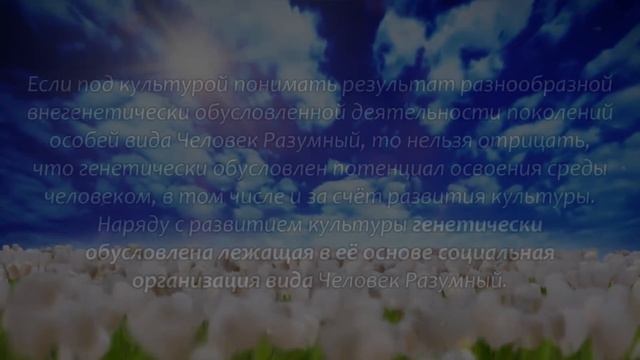 Культура: понятие и определение смотреть онлайн