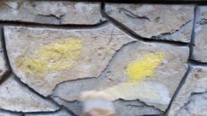 Процесс покраски цоколя .Шикарный результат