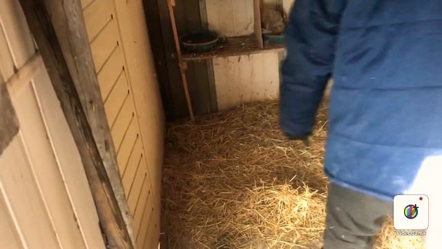 Подготовка голубятни к зиме. смотреть онлайн