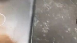 Измельчение Скорлупы грецкого Ореха WF Материал на Выходе