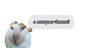 Lemon Demon - Fine перевод на русский