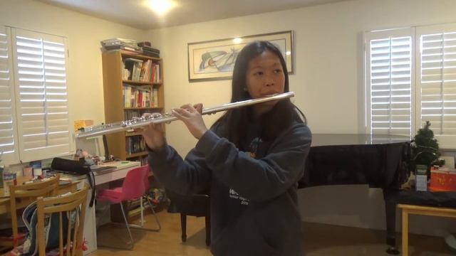 Concerto in G Major, Opus 29, movement allegro by Carl Stamitz смотреть онлайн