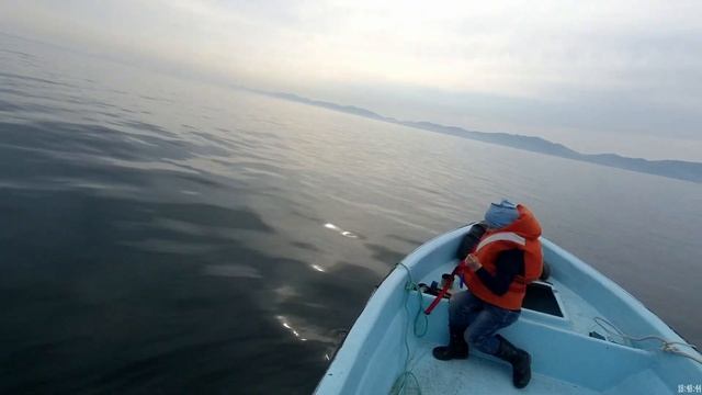 Рыбалка на камбалу.как поймать камбалу? ловля камбалы