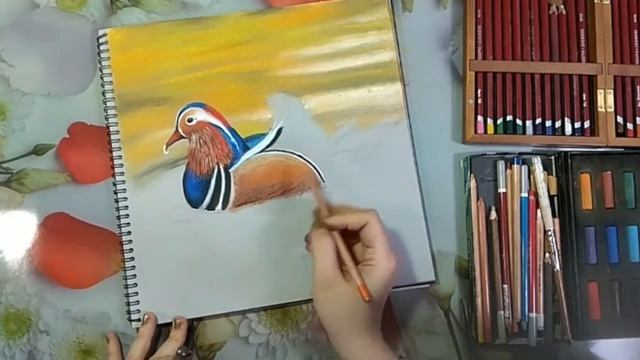 Прямой эфир "Утка мандаринка". пастель смотреть онлайн