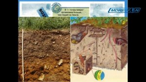 Полезные советы от МДРегион.