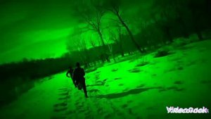 подготовка собаки команде фас