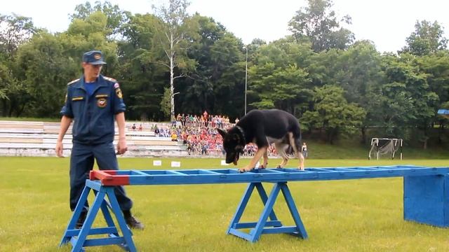 Ролик о посещении детского лагеря Энергетик 29 07 15г смотреть онлайн