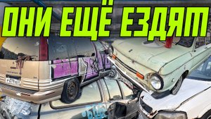 КЛАДБИЩЕ АВТОМОБИЛЕЙ В ПИТЕРЕ