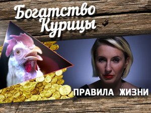 Богатство Курицы: Гот vs. Блондинка