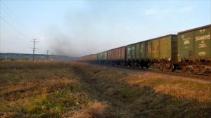 3ТЭ10МК-1215 с грузовым поездом на перегоне Лужки-Орловские - Паньково