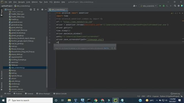 How to Capture Screenshot in Selenium with Python by Ravi Kumar