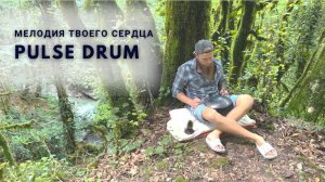 Глюкофон многотональный Pulse Drum Пульс Драм Ханг музыка для медитации на природе Хендпан