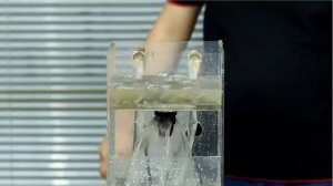 Магнитный клапан MAGDRAIN