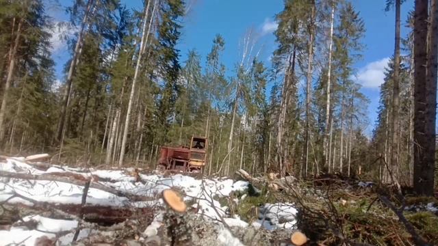 Уборка Делянки ТДТ-55
