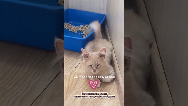 Родные, ваш репост это шанс для малышей обрести свой дом и любящую семью !