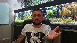 Почему секутся хвосты у гуппи!