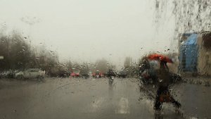 В ДОЖДЛИВЫЙ ВЕЧЕР...