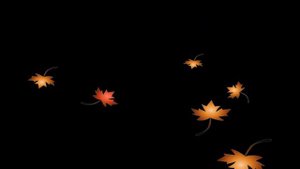 Осенние листья на черном  фоне