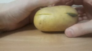 Эксперимент ЧИСТКА МОНЕТ КАРТОШКОЙ