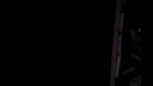 Дровник (дровянник), сарай для дров 2015