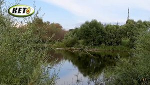 ✔ ЖАРЕНАЯ РЫБА В КЛЯРЕ БЕЗ МУКИ➕ИСТОРИИ ИЗ МОЕЙ ЖИЗНИ✔ЖАРЕНЫЙ ЖЕРЕХ✔МОЙ РАЦИОН НА КЕТО✔КЕТО ДИЕТА ✔