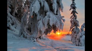 Валентина Рженецкая. Зимняя зарисовка