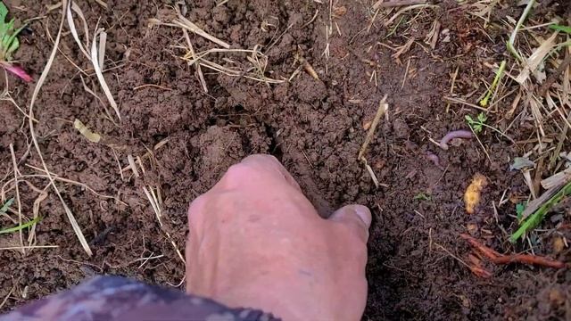 ЗАГАДОЧНАЯ НАХОДКА...почему крест с распятием из Ж Е Л Е З А ?? смотреть онлайн