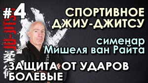 Спортивное Джиу-Джитсу – 4: семинар Мишеля Ван Райта.