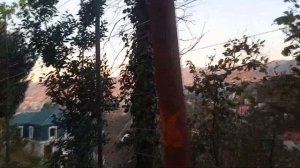 ПРОДАМ ДОМ С ЗЕМЕЛЬНЫМ УЧАСТКОМ В БАТУМИ.Купить дом в Батуми у моря.Грузия.ОБЩАЯ 370м/2 ЦЕНА 330000