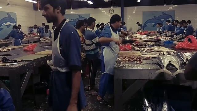 Dubai Largest Fishmarket1