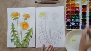 Мастер-класс по рисованию одуванчиков акварелью