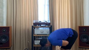 Звучание audio gd 5.32 reference vs denafrips ares ll
