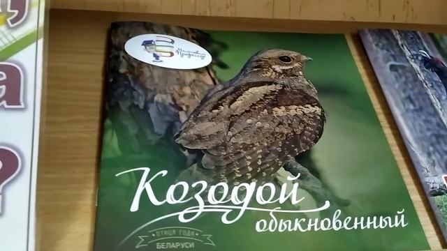 птица года, выставка смотреть онлайн