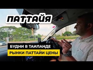 Паттайя сезон 2024 Машина на крыше. Цены на продукты. Покупаем растения. Обзор зоомагазина.
