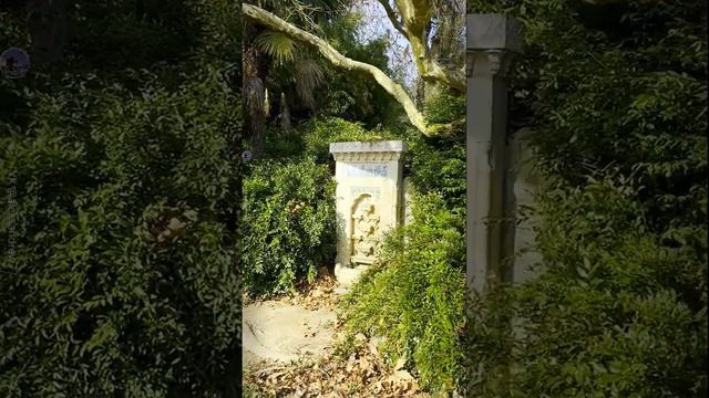 Никитский ботанический сад в марте.