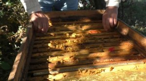 В ГНЕЗДЕ МАЛО ПЧЕЛЫ. Что делать? ПОДКОРМКА В КОНЦЕ СЕНТЯБРЯ. #пчелыначинающим