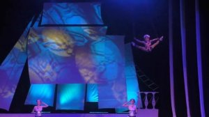 цирк в Дубне.mp4