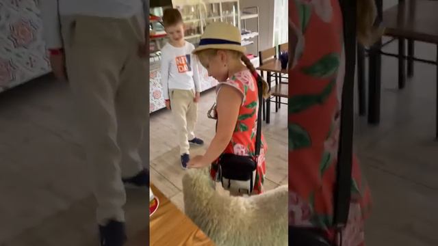 Новый любимчик публики в Тайгане!