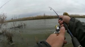 Ловля жереха с берега,ерек Створный