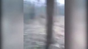 4 РЕАЛЬНЫХ ЗОМБИ СНЯТЫХ НА КАМЕРУ | Студия Страха |
