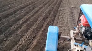 Посадка картофеля минитрактором @