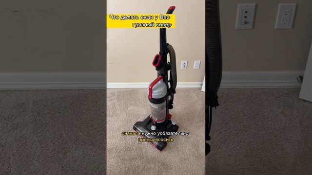 Грязный ковер? Ситуацию исправит моющий пылесос Bissell смотреть онлайн