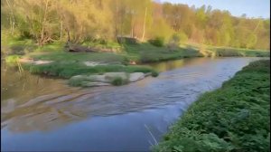 Экопарк "Бобровый Мыс"