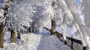 Вьюга,вьюга/ группа Фристайл