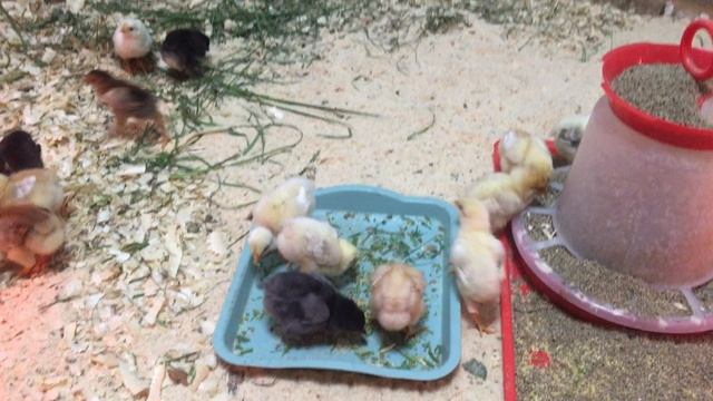 14-05-2023 смотреть онлайн