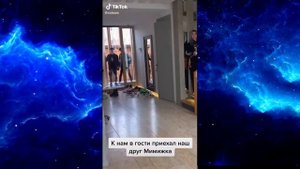 ЛУЧШИЕ ПРАНКИ ТИК ТОК 2020 | ТИК ТОК ТОП ПРАНК