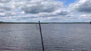 Кавголовское озеро. Ленинградская область